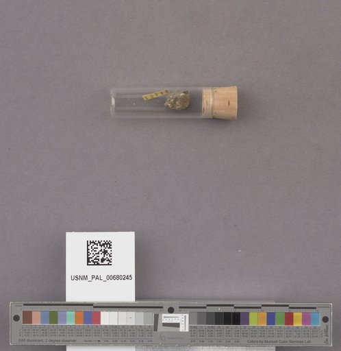 NSF ADBC EPICC TCN