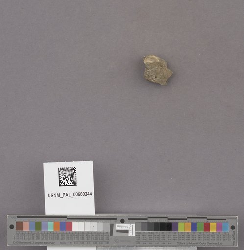 NSF ADBC EPICC TCN