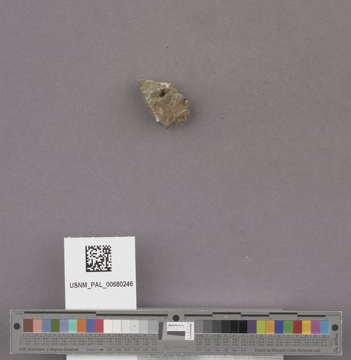 NSF ADBC EPICC TCN