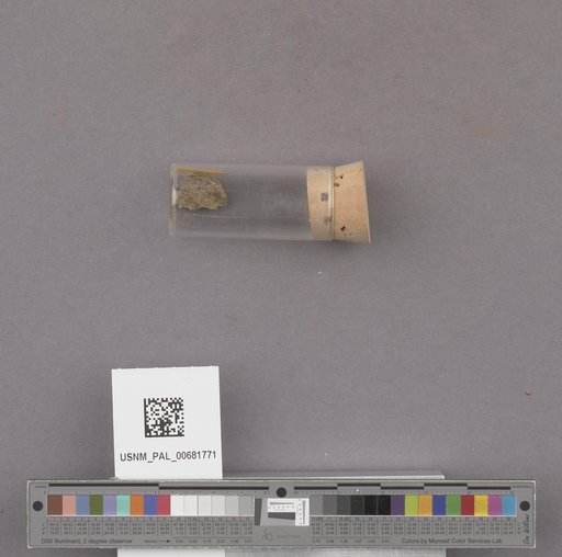 NSF ADBC EPICC TCN