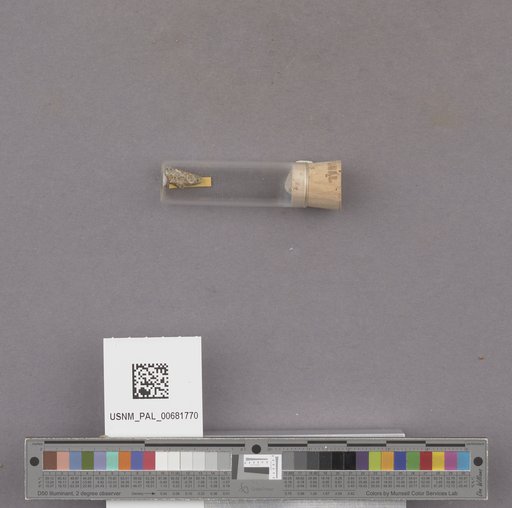 NSF ADBC EPICC TCN
