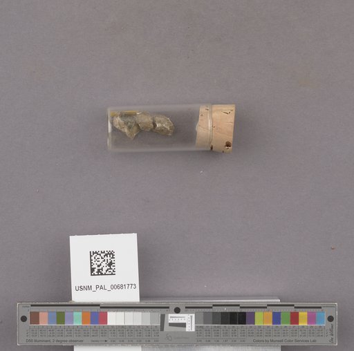 NSF ADBC EPICC TCN
