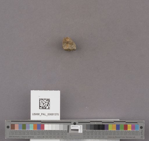 NSF ADBC EPICC TCN