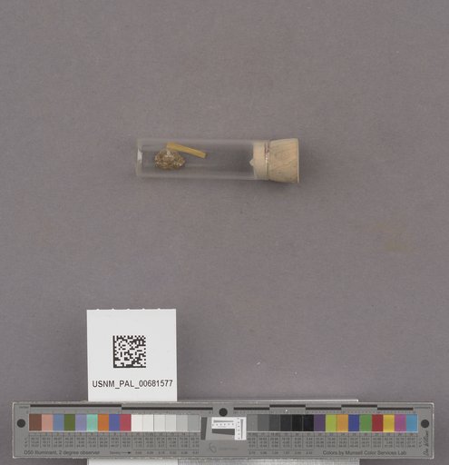 NSF ADBC EPICC TCN