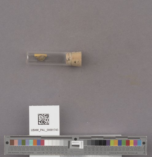 NSF ADBC EPICC TCN