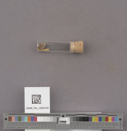 NSF ADBC EPICC TCN