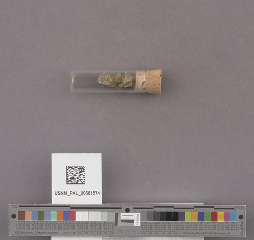 NSF ADBC EPICC TCN