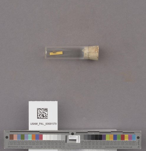 NSF ADBC EPICC TCN