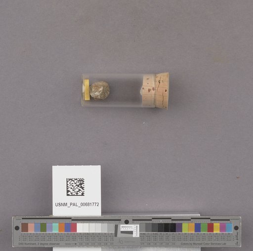 NSF ADBC EPICC TCN