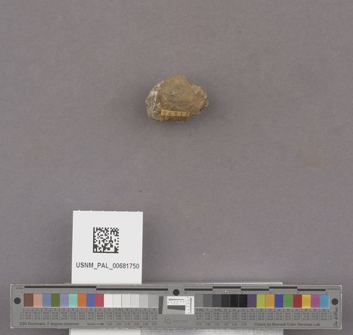 NSF ADBC EPICC TCN