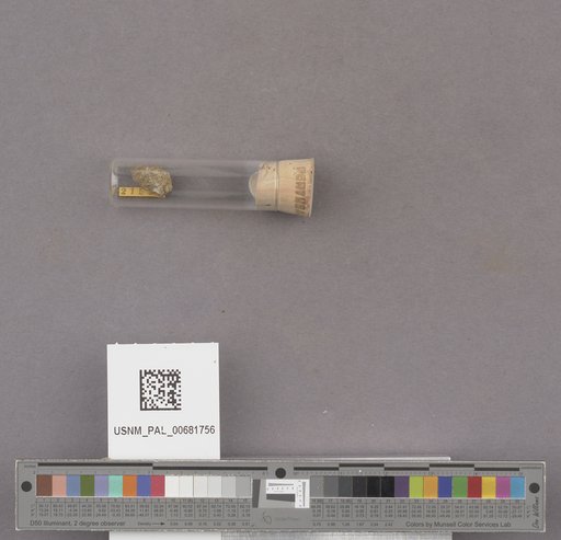 NSF ADBC EPICC TCN