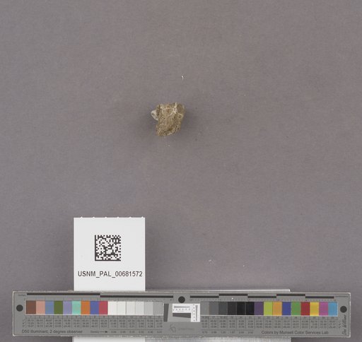 NSF ADBC EPICC TCN