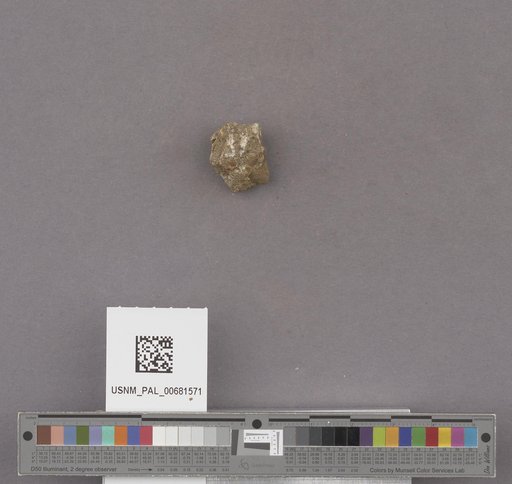 NSF ADBC EPICC TCN