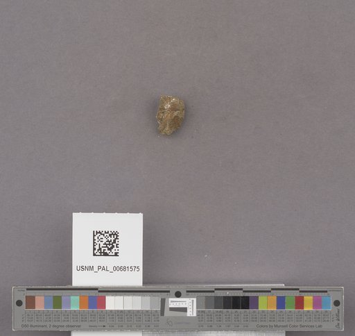 NSF ADBC EPICC TCN