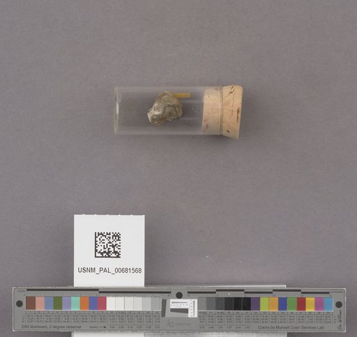NSF ADBC EPICC TCN
