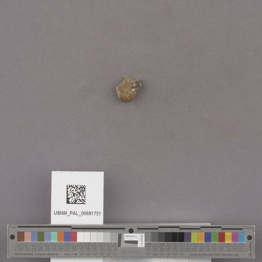 NSF ADBC EPICC TCN