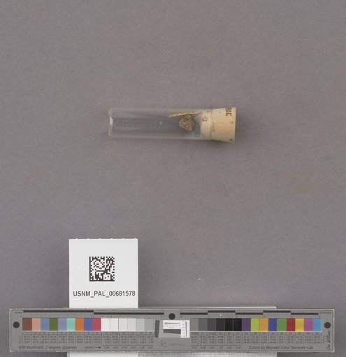 NSF ADBC EPICC TCN