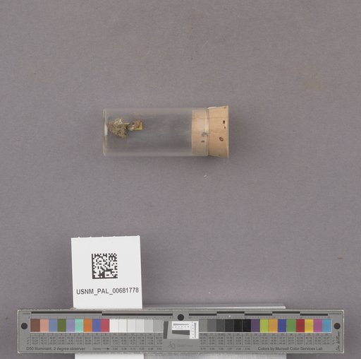 NSF ADBC EPICC TCN