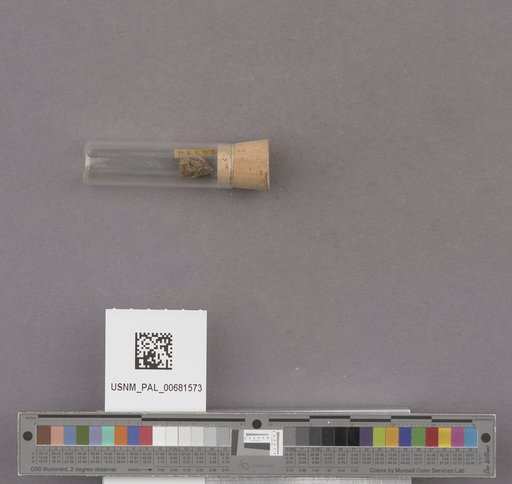 NSF ADBC EPICC TCN