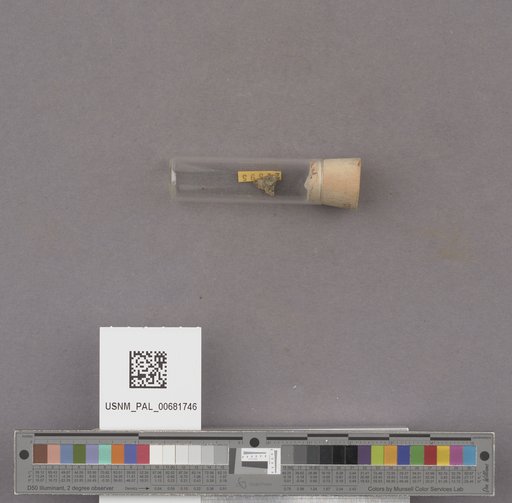 NSF ADBC EPICC TCN