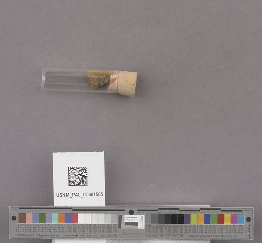NSF ADBC EPICC TCN
