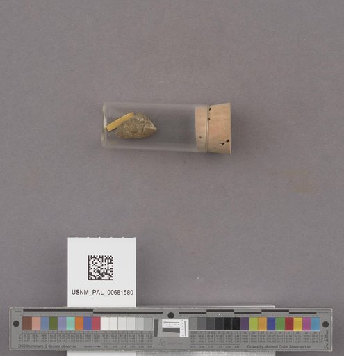 NSF ADBC EPICC TCN