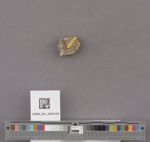 NSF ADBC EPICC TCN