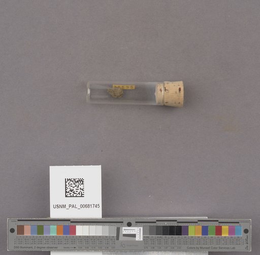 NSF ADBC EPICC TCN