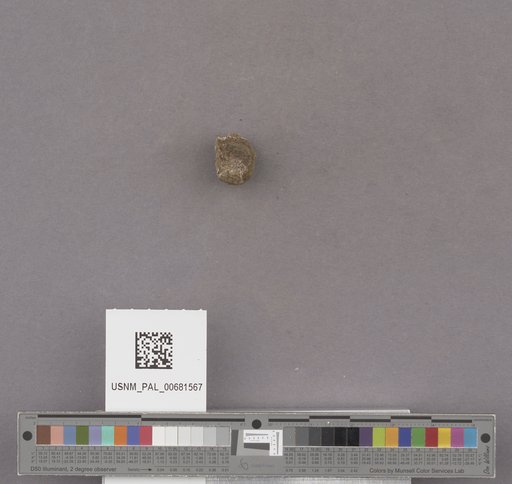 NSF ADBC EPICC TCN