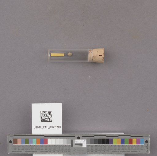 NSF ADBC EPICC TCN