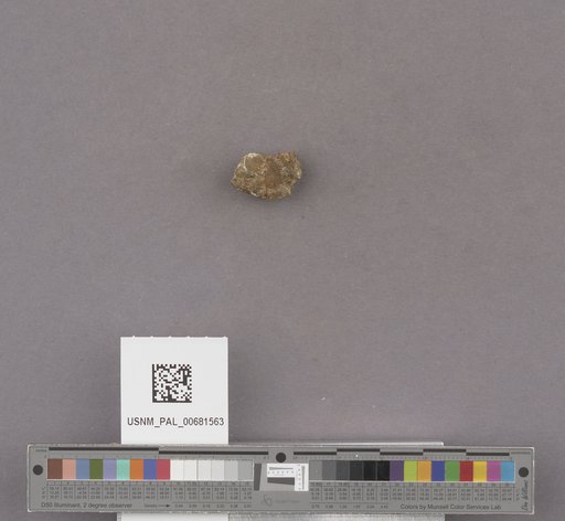 NSF ADBC EPICC TCN