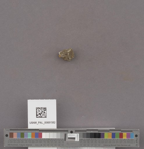 NSF ADBC EPICC TCN