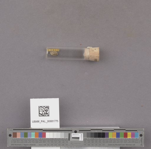 NSF ADBC EPICC TCN