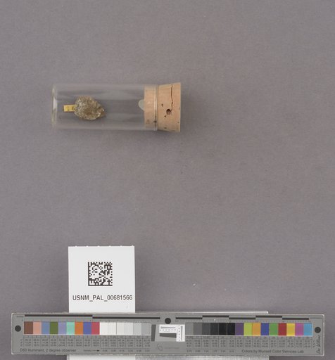 NSF ADBC EPICC TCN