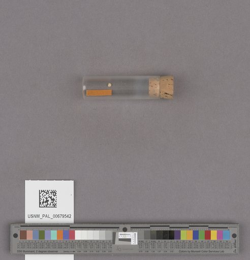NSF ADBC EPICC TCN