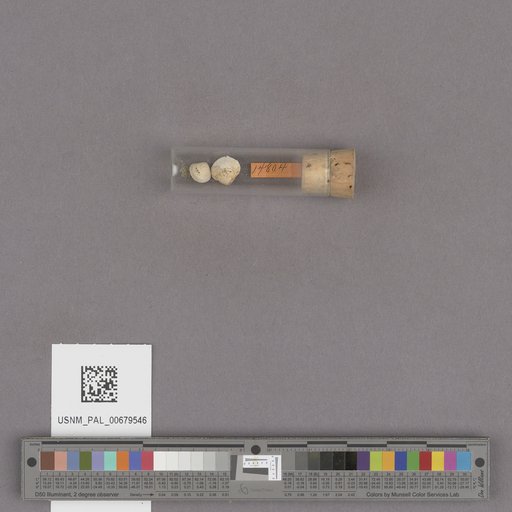 NSF ADBC EPICC TCN