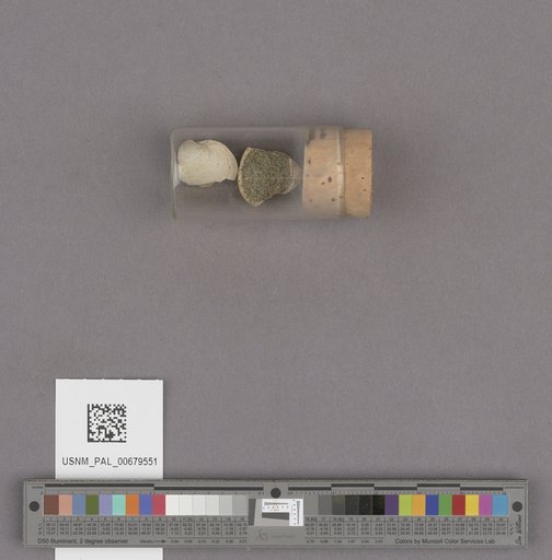 NSF ADBC EPICC TCN
