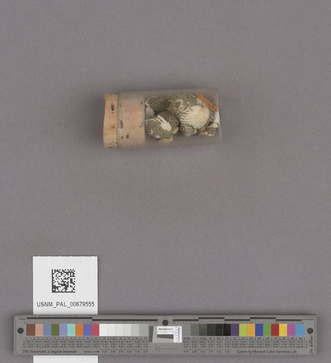 NSF ADBC EPICC TCN