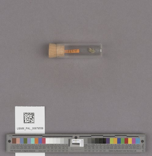 NSF ADBC EPICC TCN