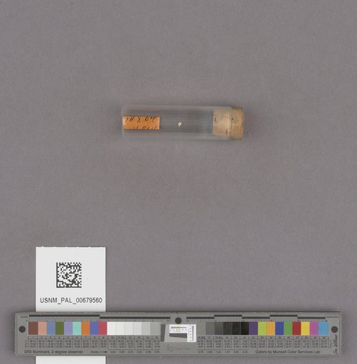 NSF ADBC EPICC TCN