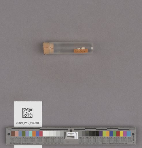 NSF ADBC EPICC TCN