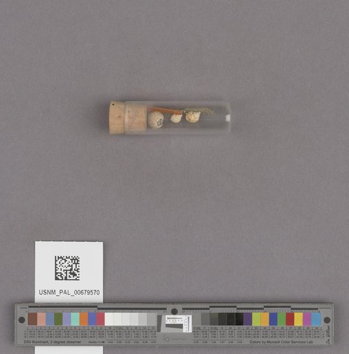 NSF ADBC EPICC TCN