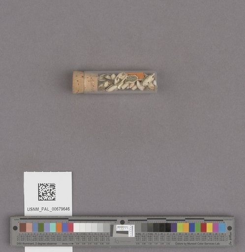 NSF ADBC EPICC TCN
