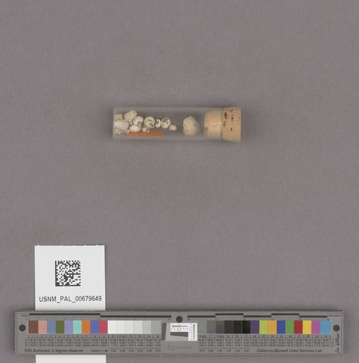 NSF ADBC EPICC TCN