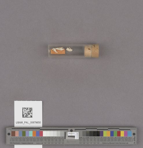 NSF ADBC EPICC TCN