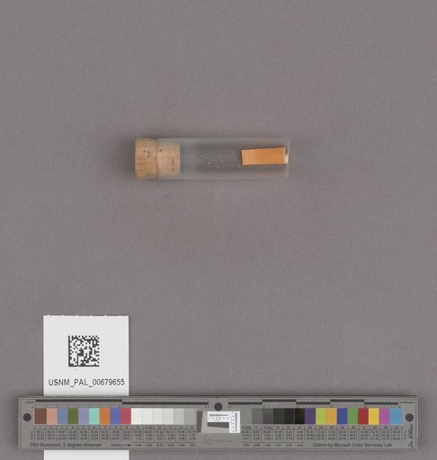 NSF ADBC EPICC TCN