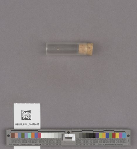 NSF ADBC EPICC TCN
