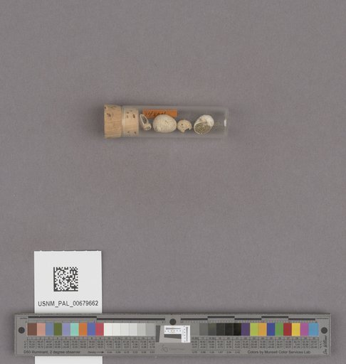NSF ADBC EPICC TCN