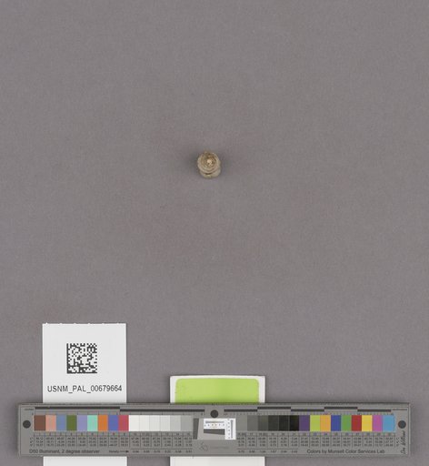 NSF ADBC EPICC TCN