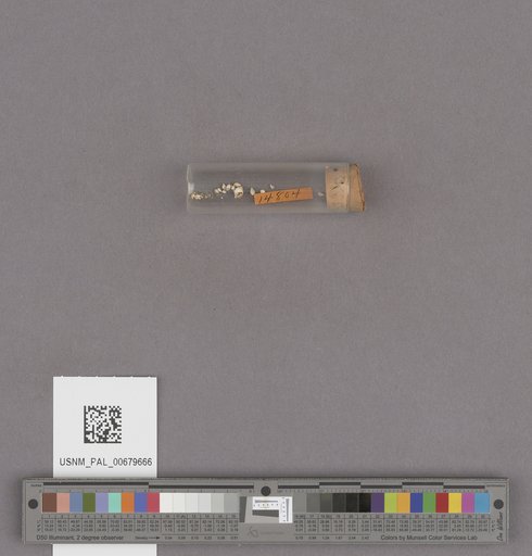 NSF ADBC EPICC TCN